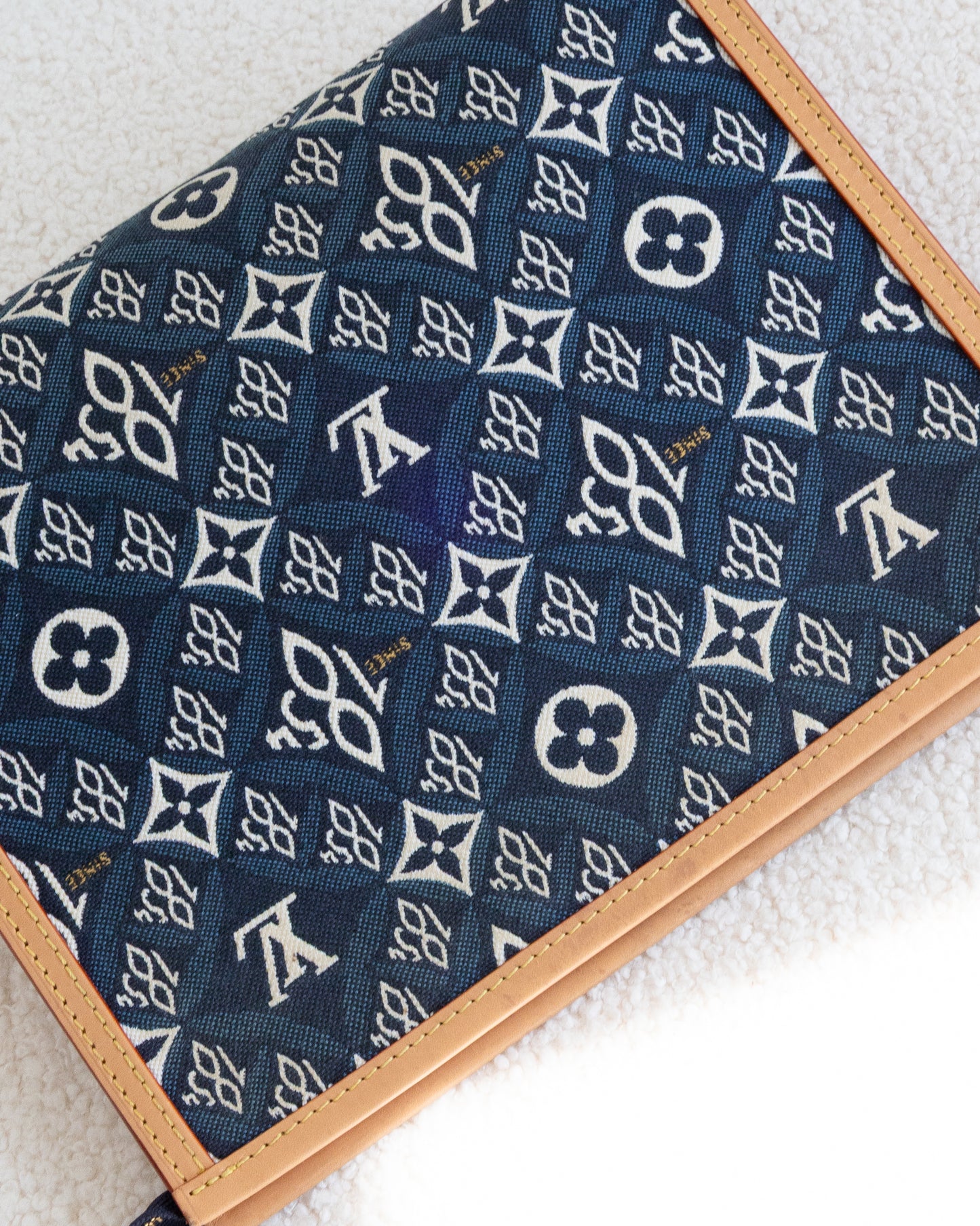 LOUIS VUITTON Pouch 26