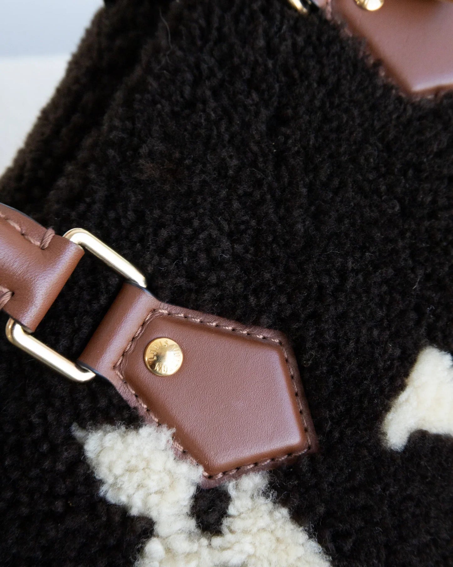 LOUIS VUITTON Speedy 25 Teddy