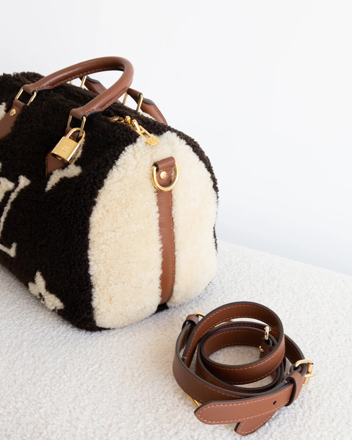 LOUIS VUITTON Speedy 25 Teddy