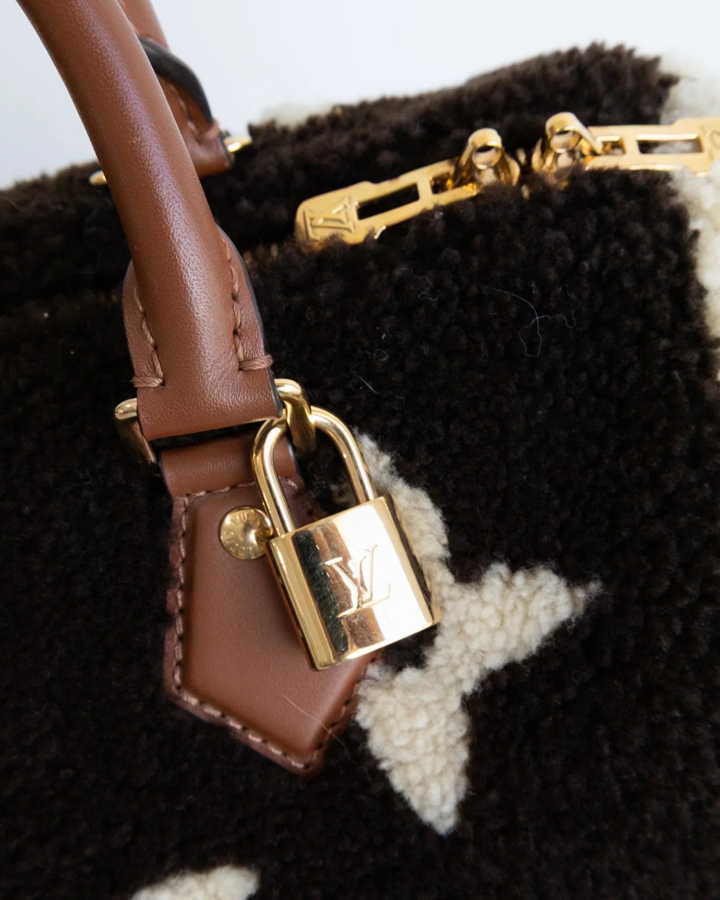 LOUIS VUITTON Speedy 25 Teddy