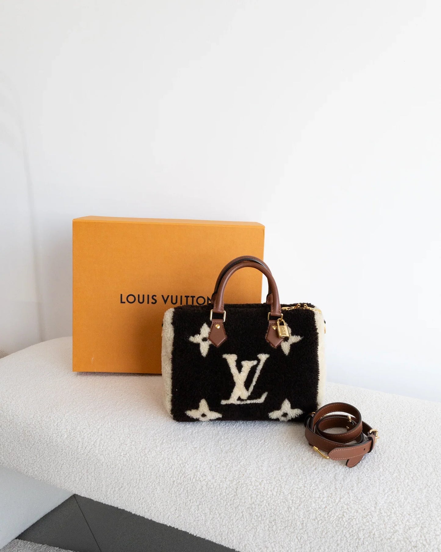 LOUIS VUITTON Speedy 25 Teddy