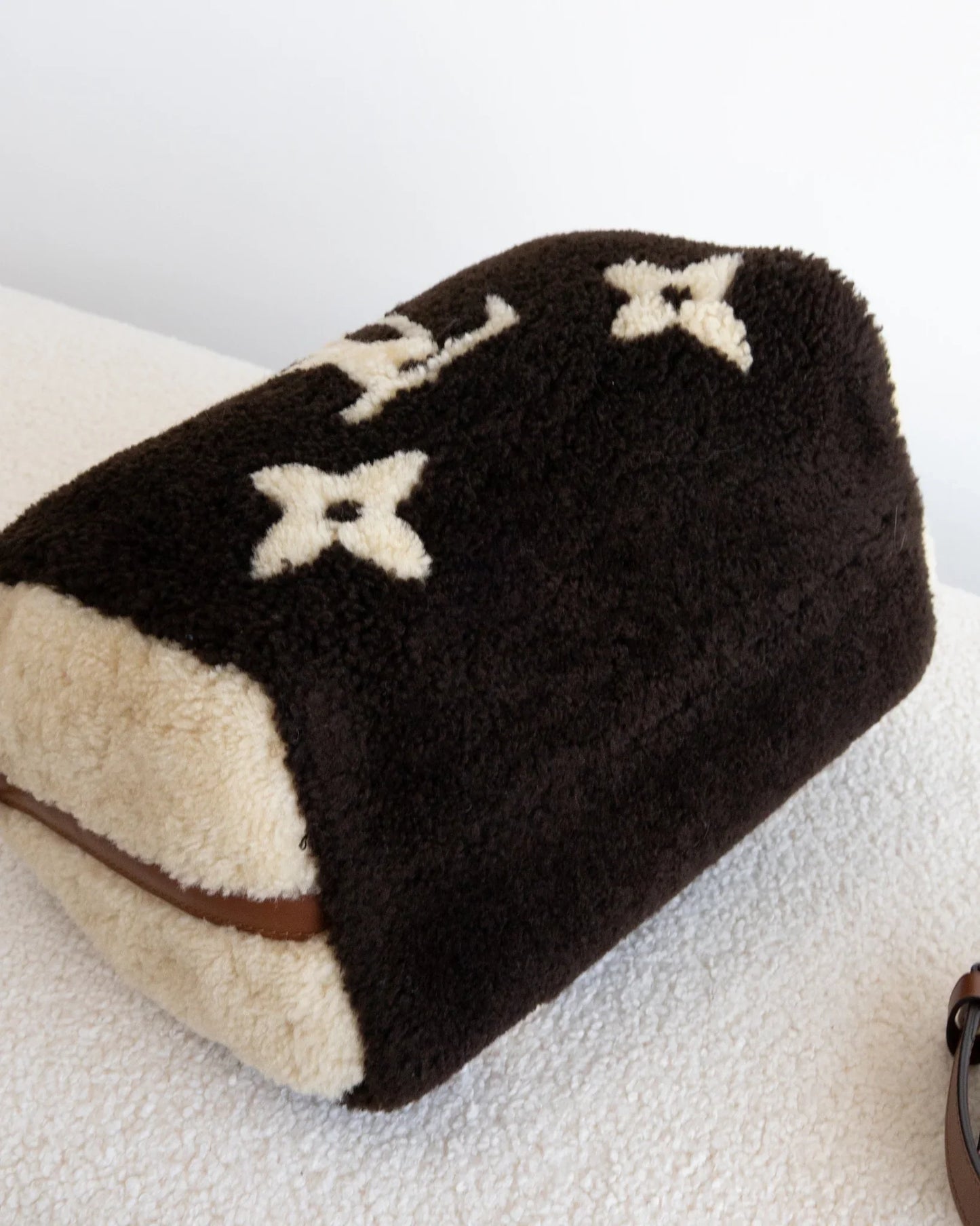 LOUIS VUITTON Speedy 25 Teddy
