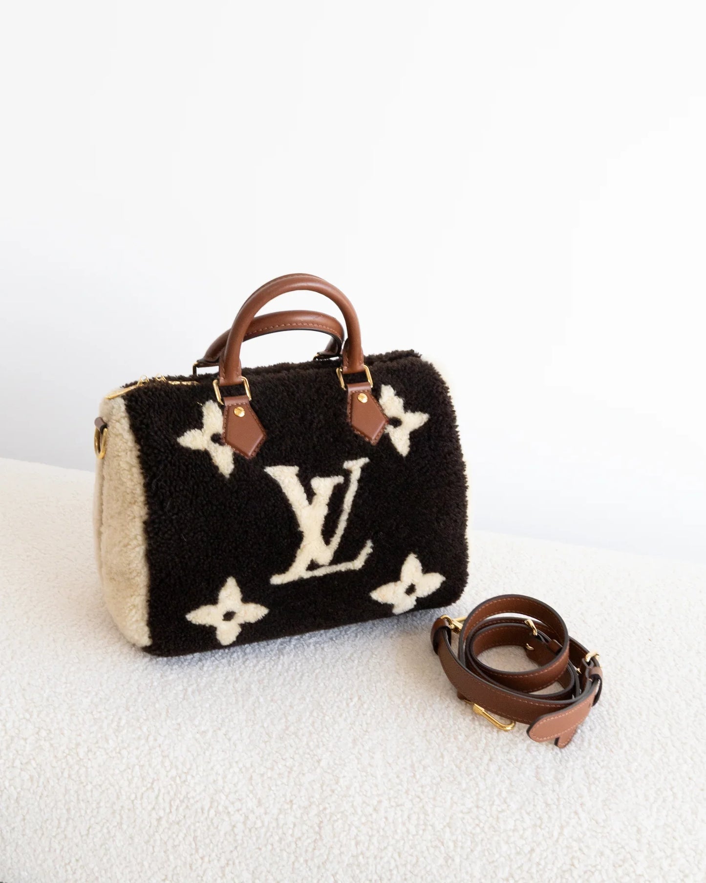 LOUIS VUITTON Speedy 25 Teddy