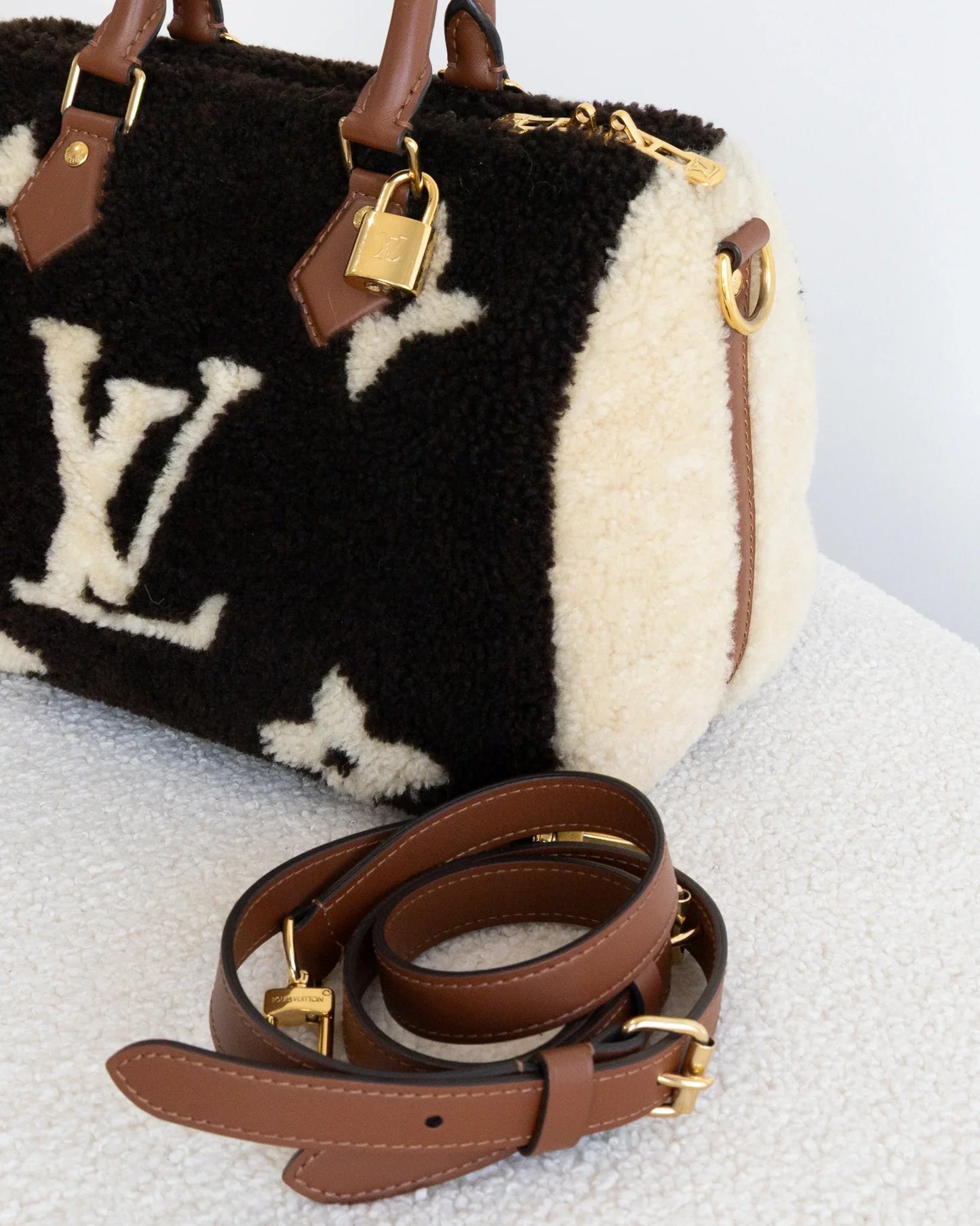 LOUIS VUITTON Speedy 25 Teddy