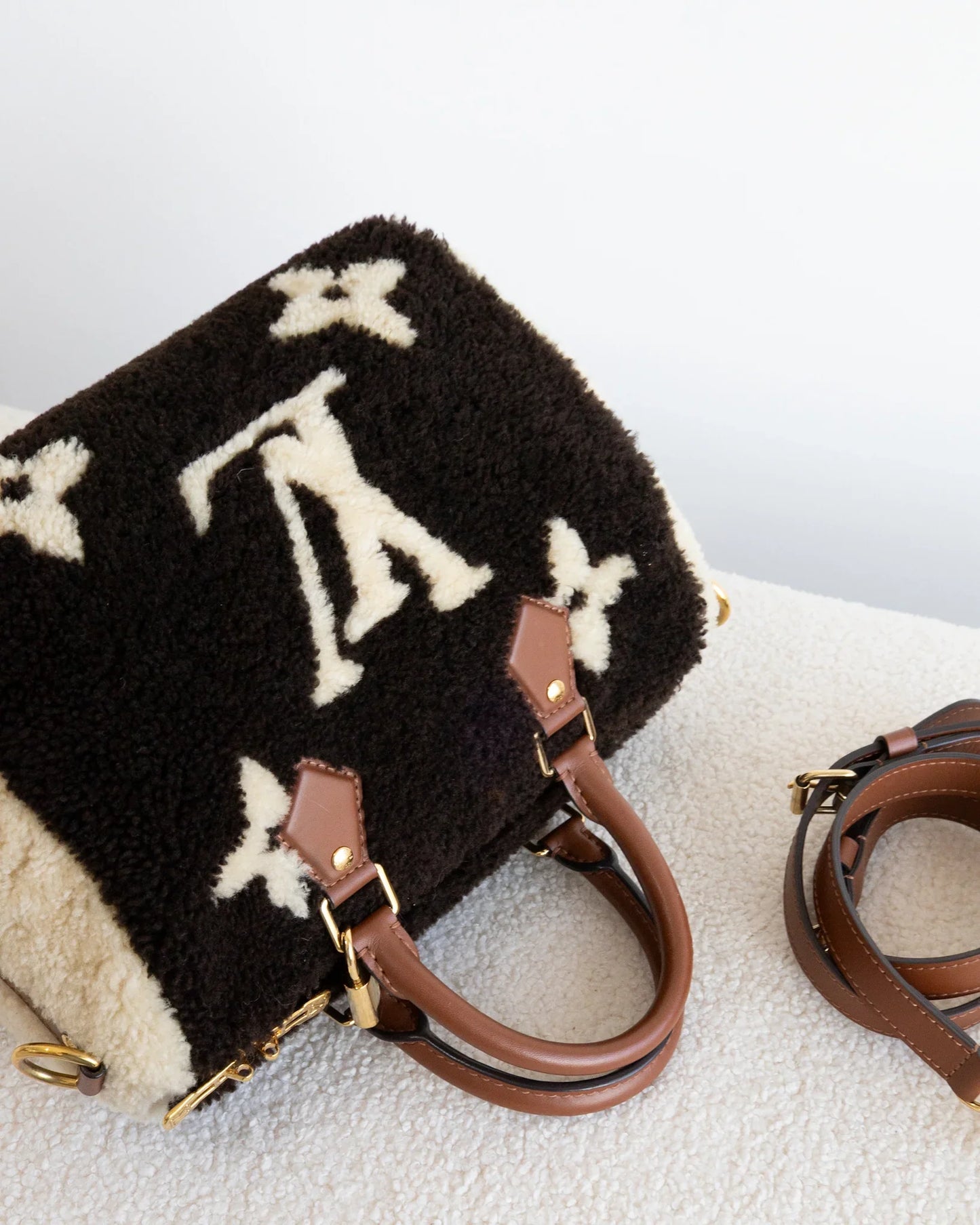 LOUIS VUITTON Speedy 25 Teddy