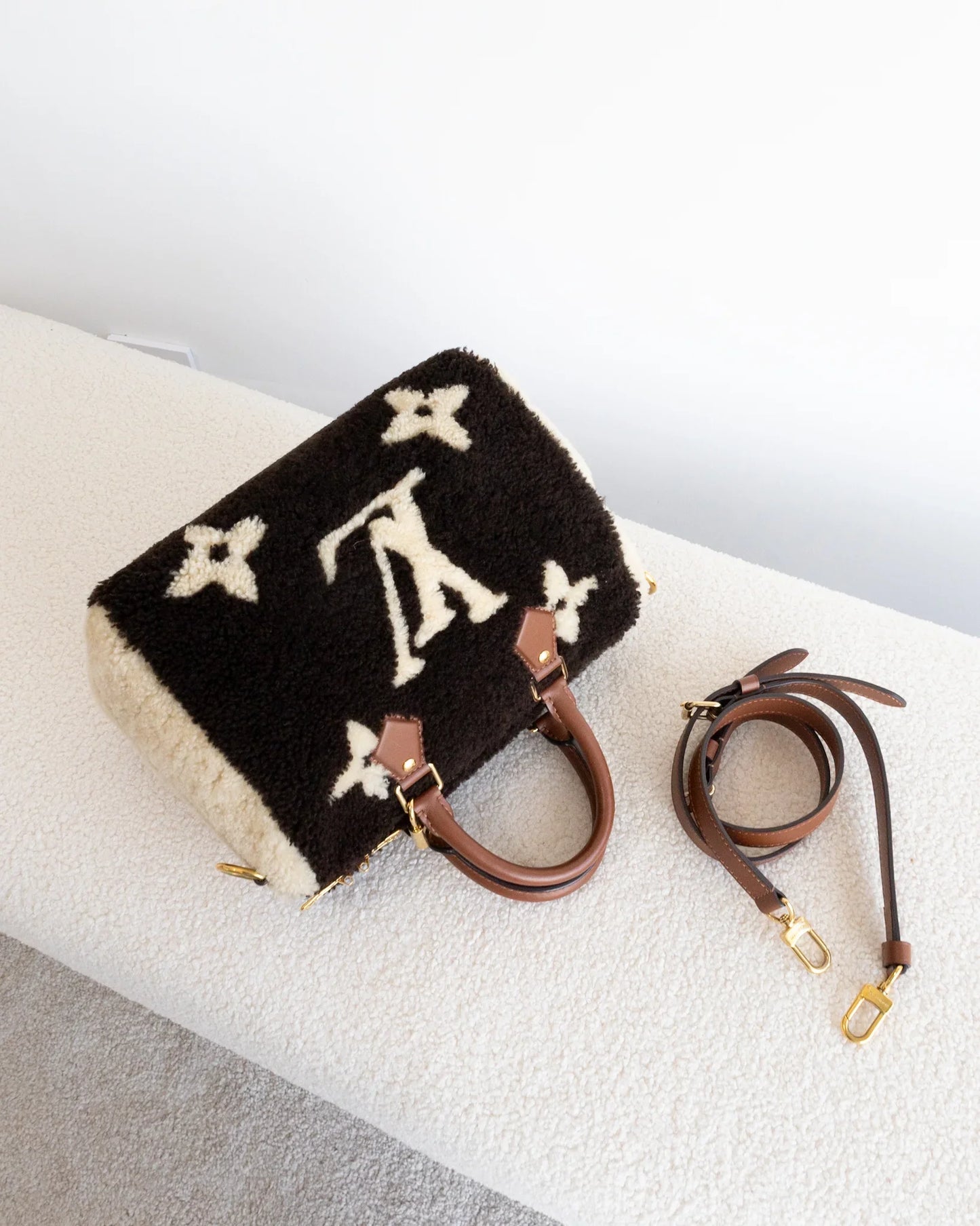 LOUIS VUITTON Speedy 25 Teddy