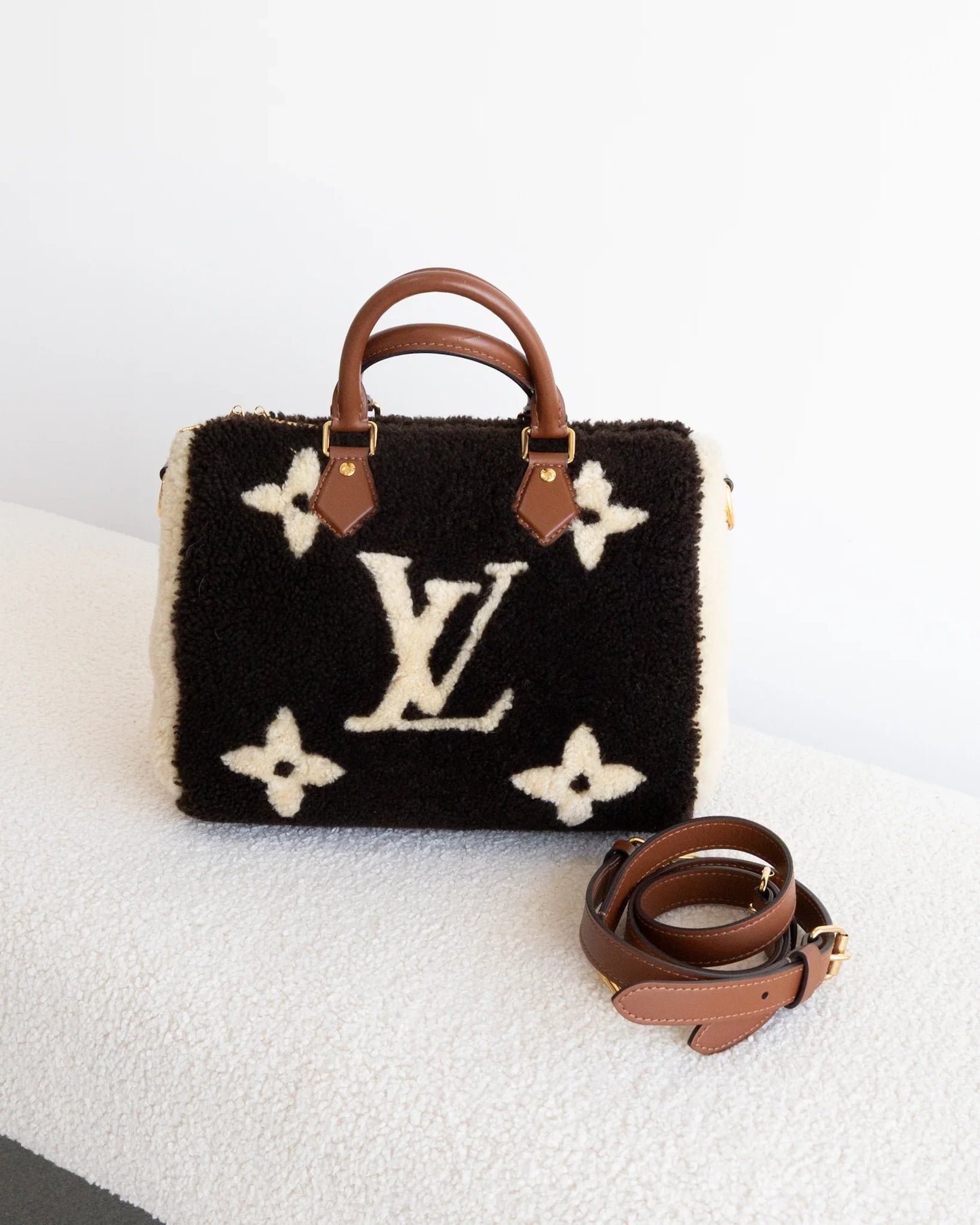 LOUIS VUITTON Speedy 25 Teddy