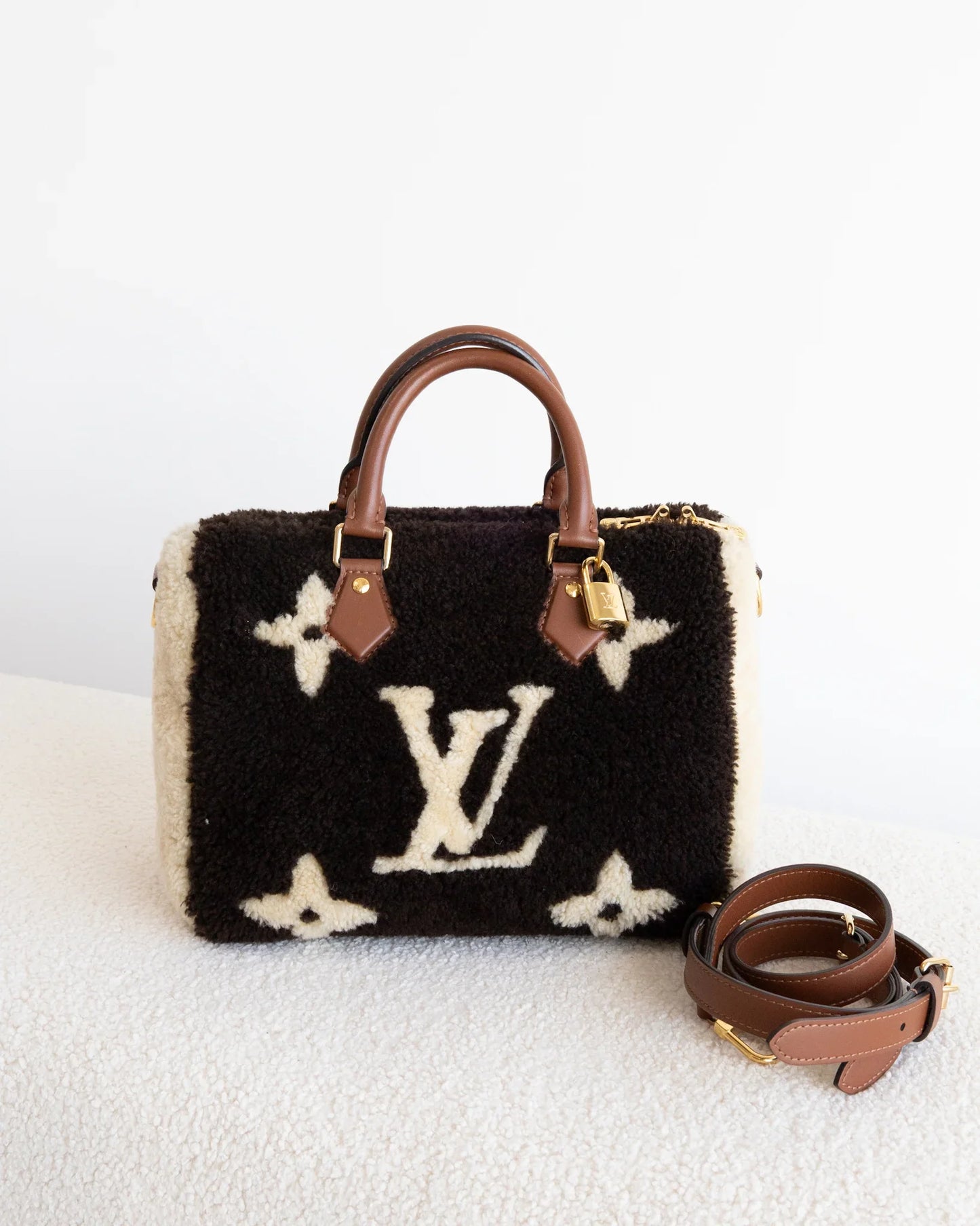 LOUIS VUITTON Speedy 25 Teddy
