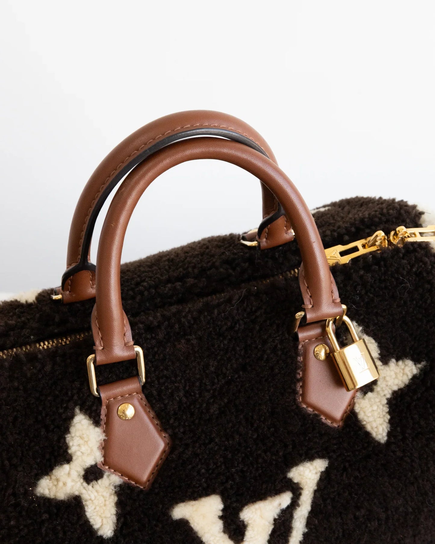 LOUIS VUITTON Speedy 25 Teddy