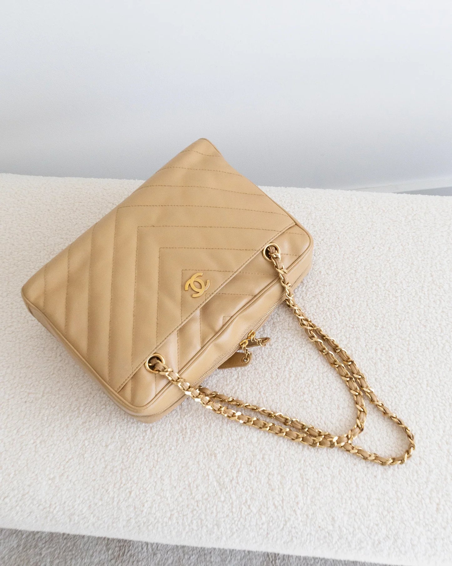 CHANEL Camera Bag
