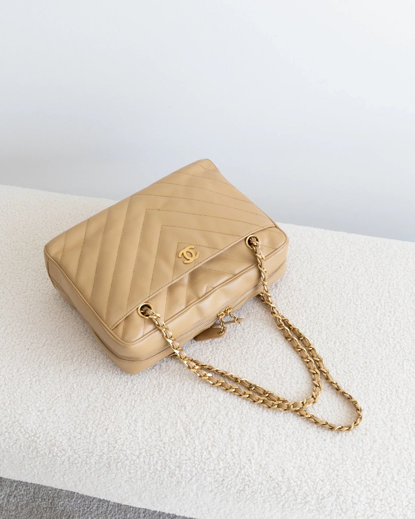 CHANEL Camera Bag