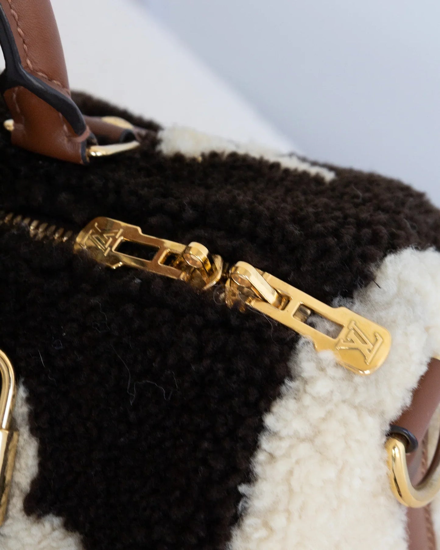 LOUIS VUITTON Speedy 25 Teddy