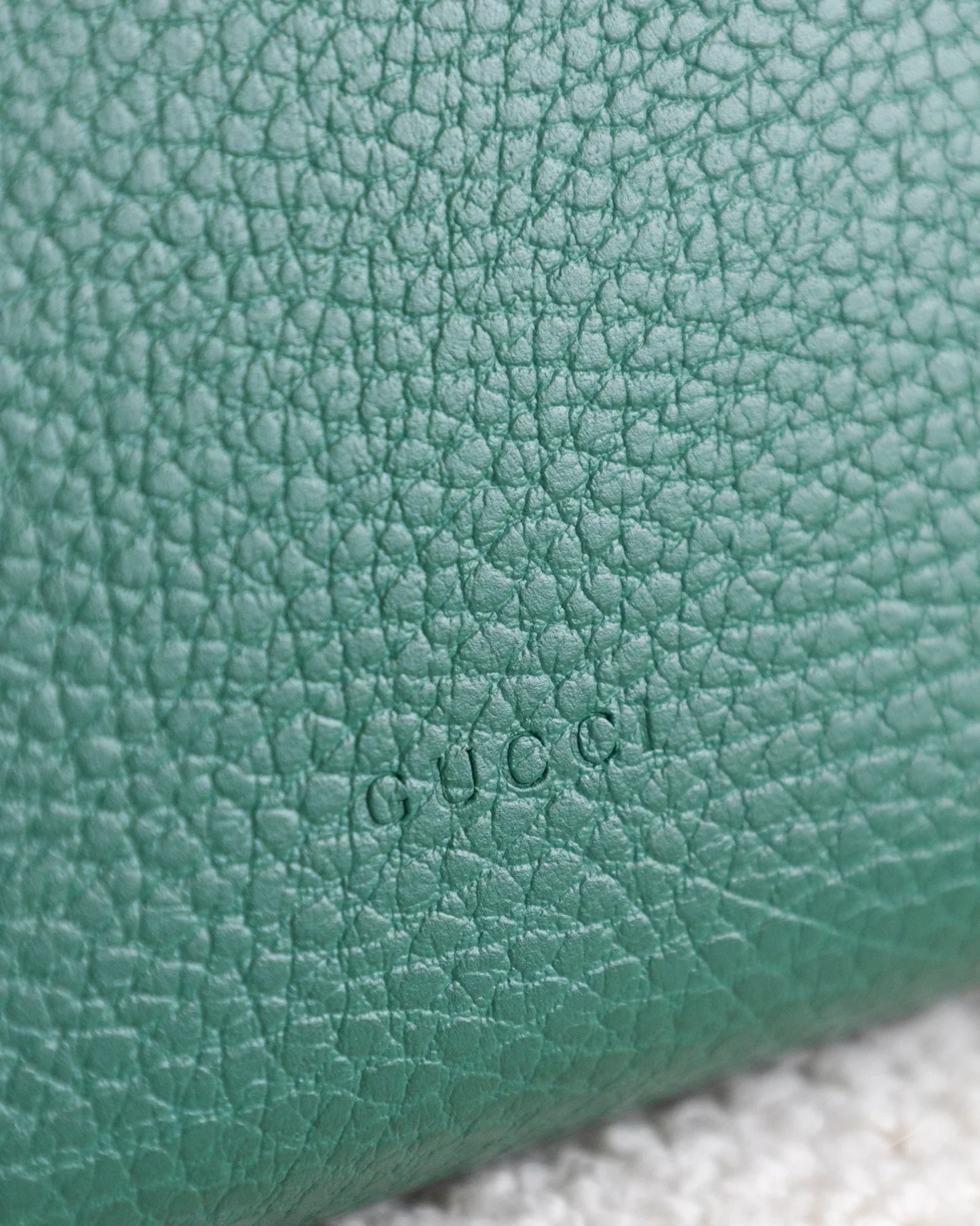 GUCCI Dionysus - THE VOG CLOSET