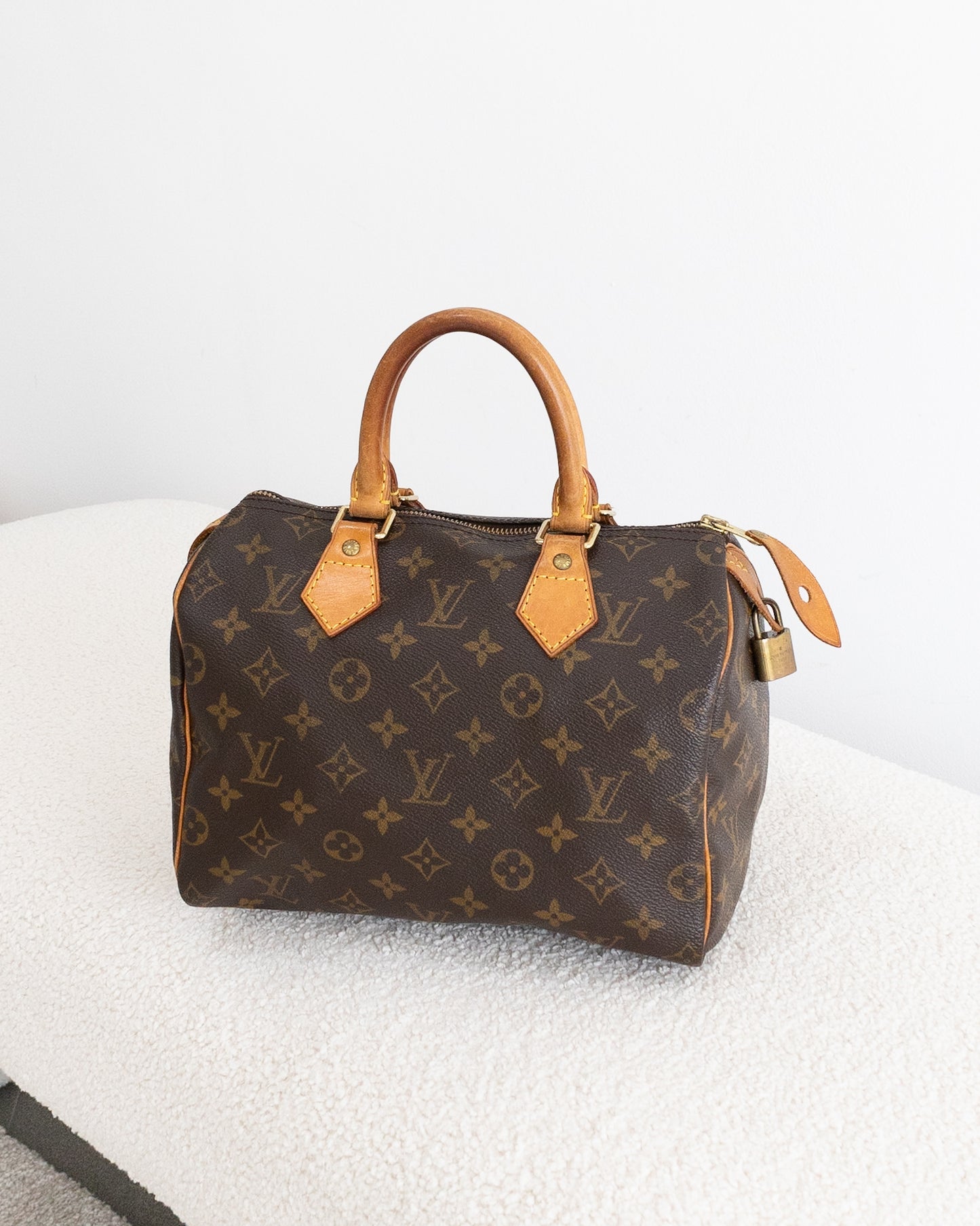 LOUIS VUITTON Speedy 25