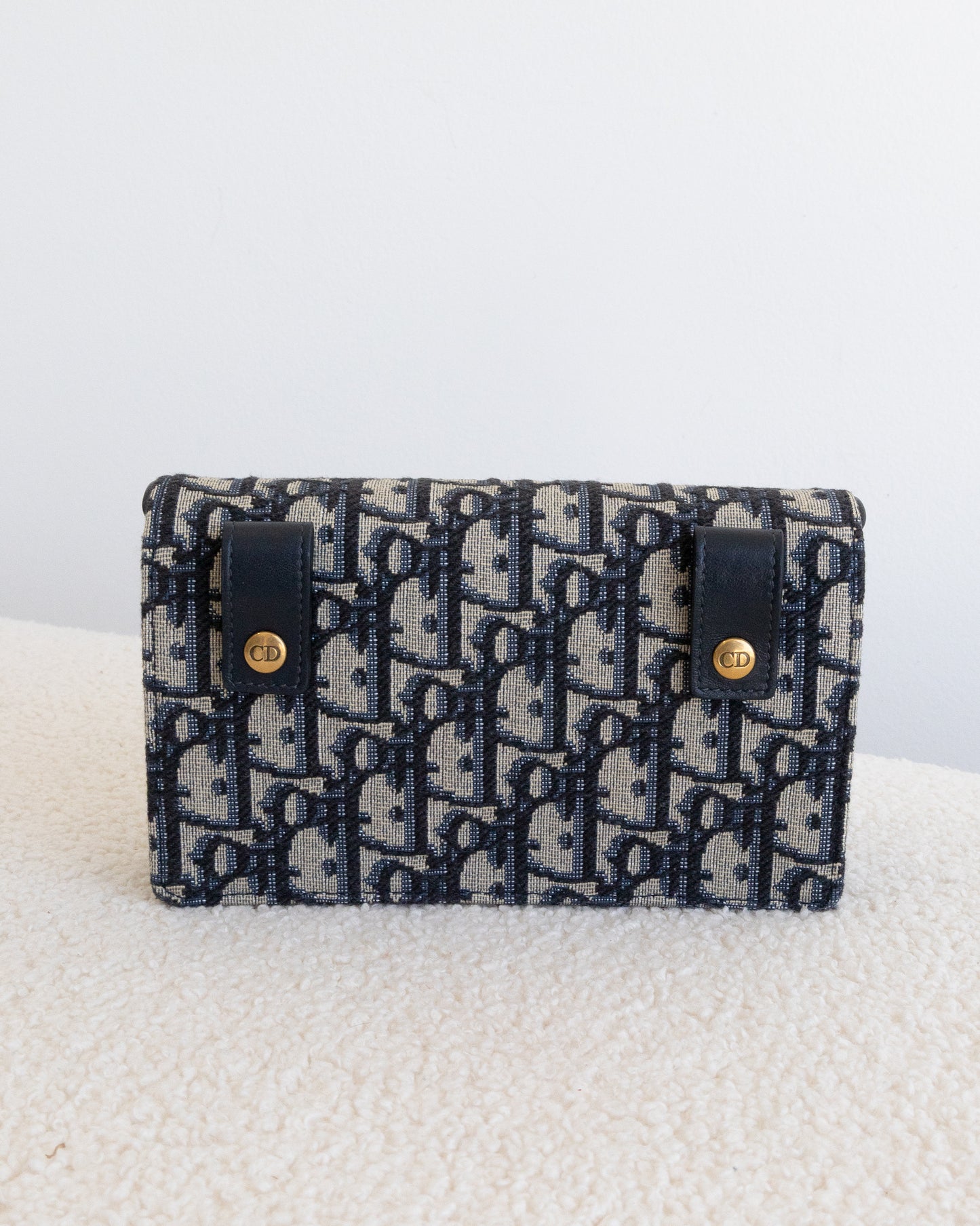 CHRISTIAN DIOR Saddle Belt Bag