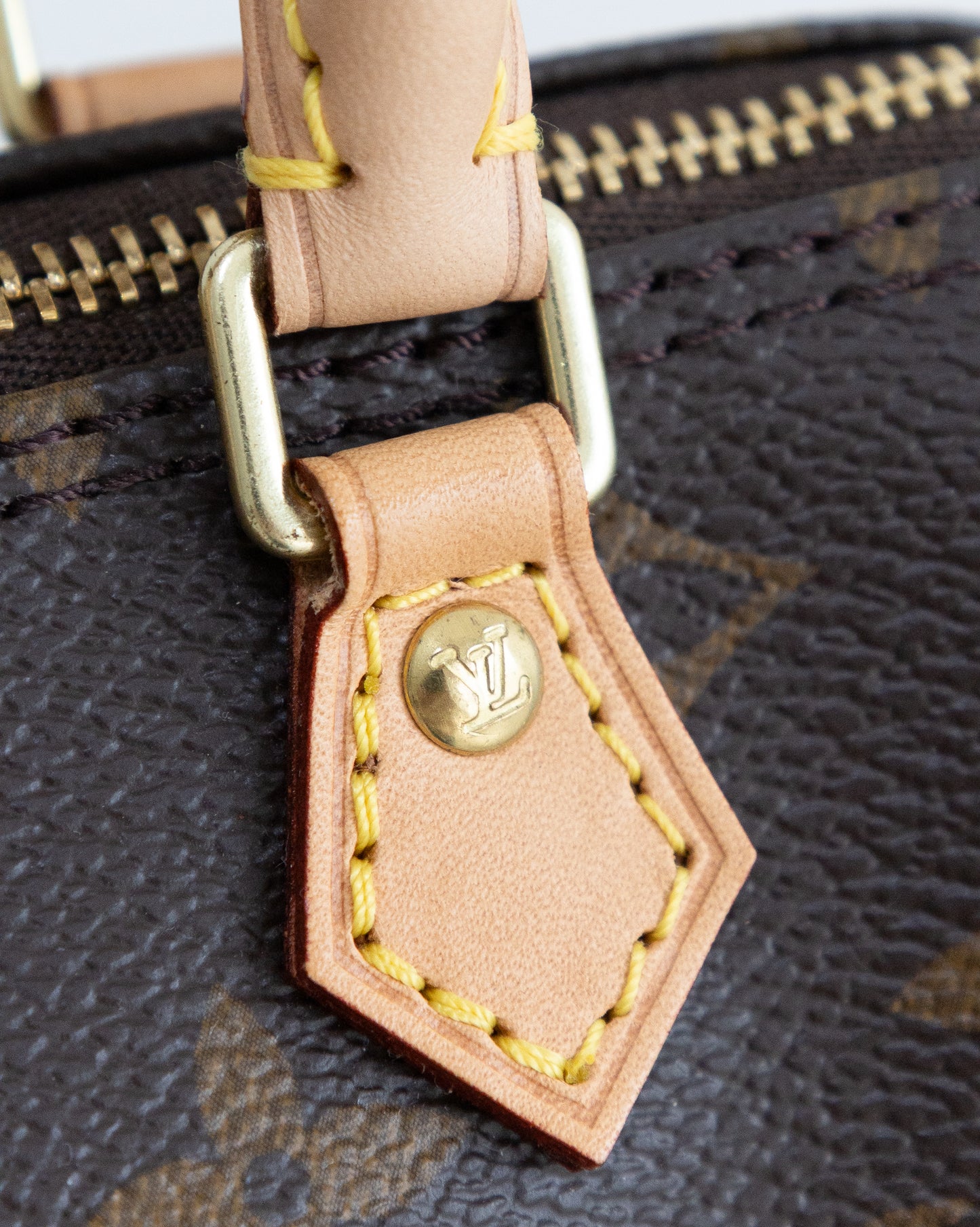 LOUIS VUITTON Speedy Nano