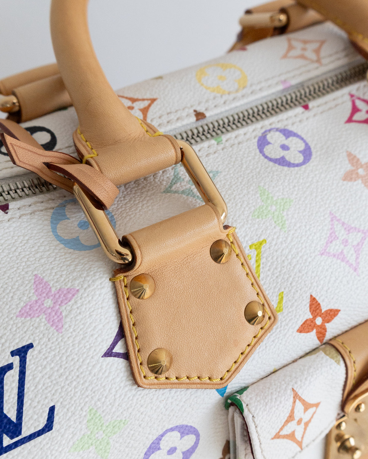 LOUIS VUITTON Speedy 30 Multicolor