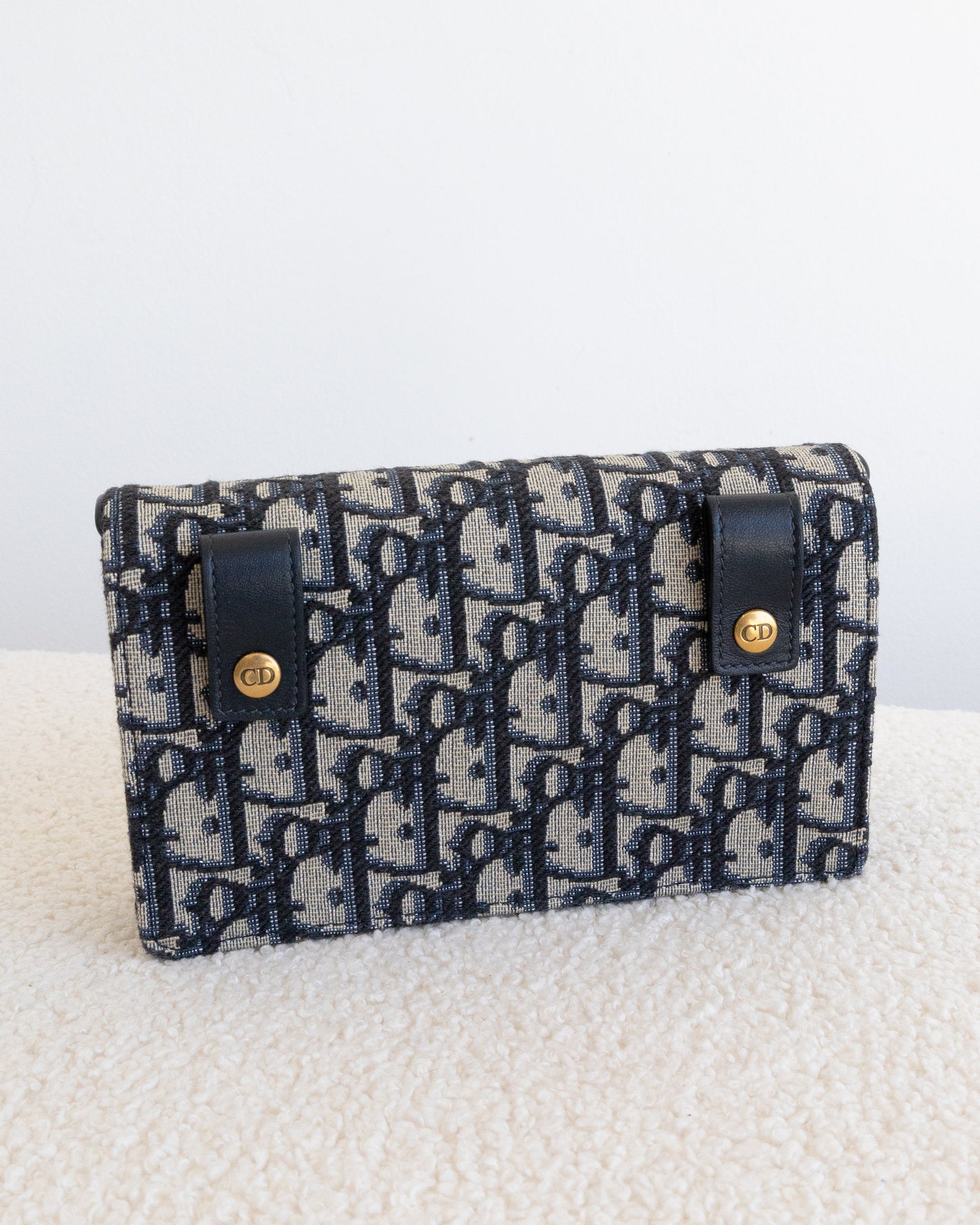 CHRISTIAN DIOR Saddle Belt Bag