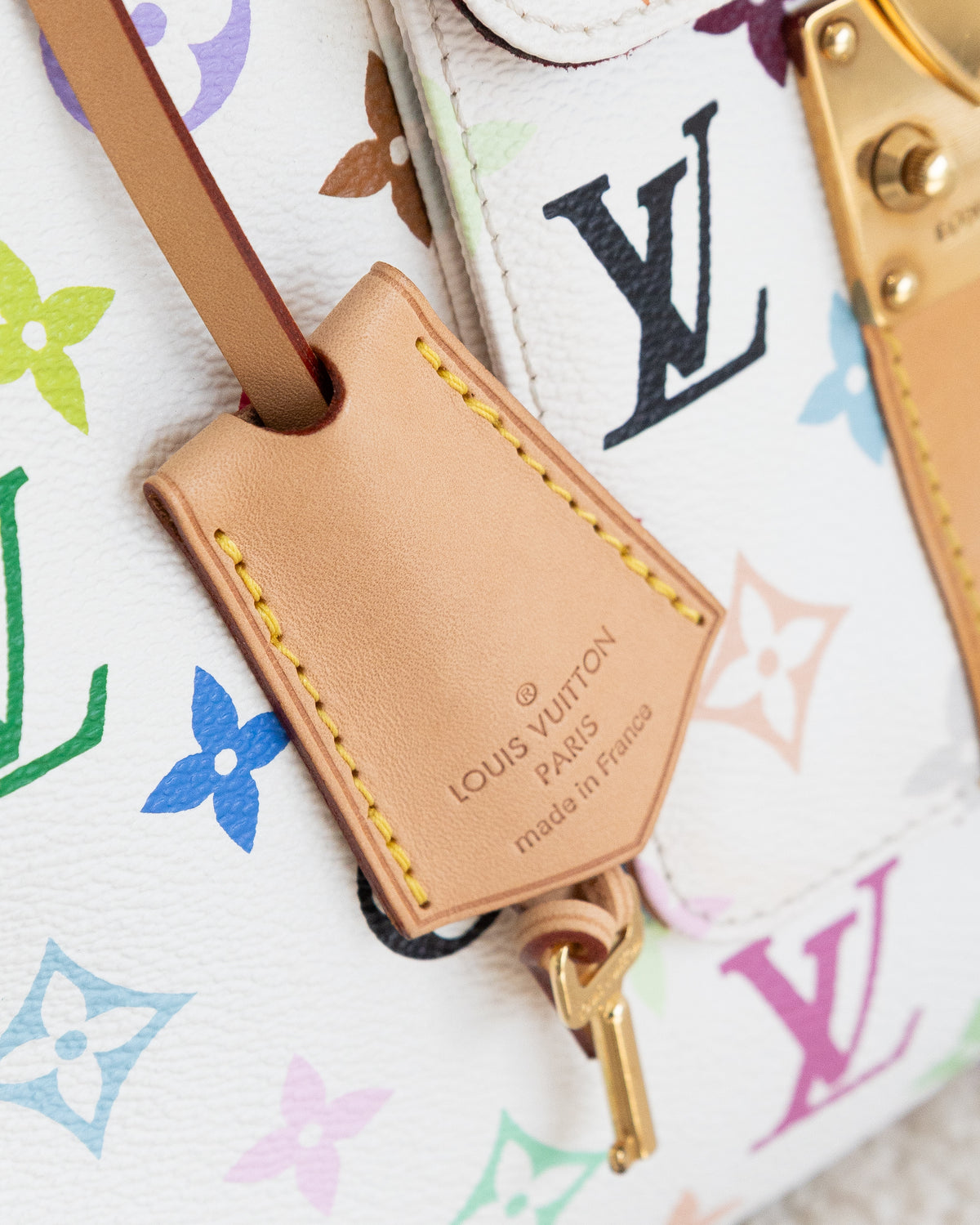 LOUIS VUITTON Speedy 30 Multicolor