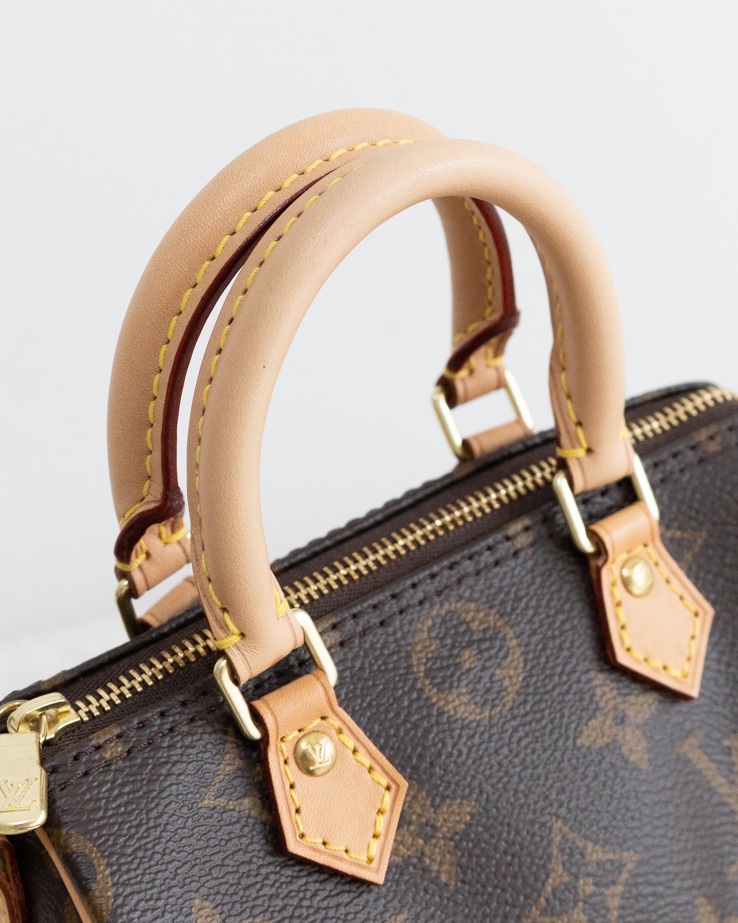 LOUIS VUITTON Speedy Nano