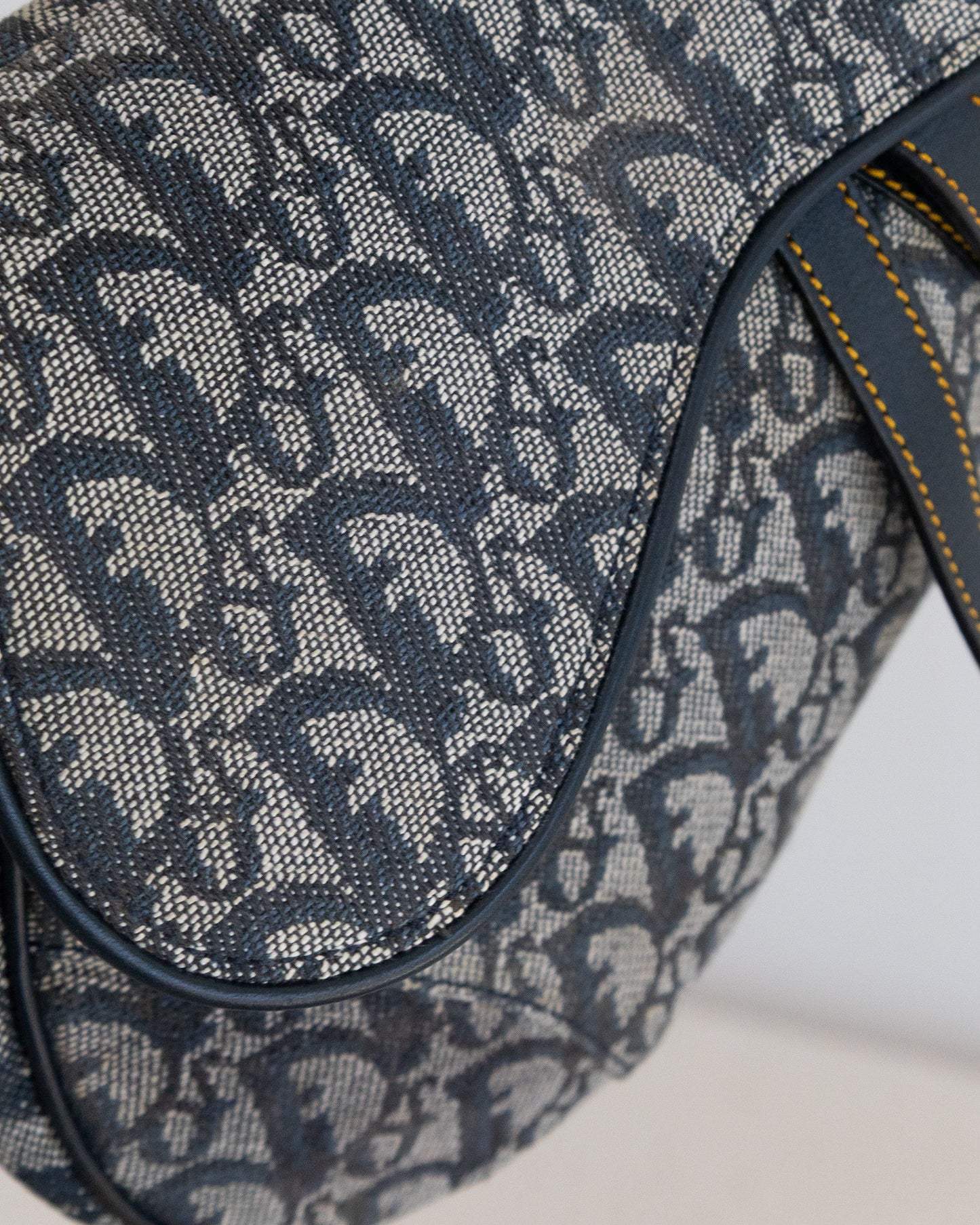 CHRISTIAN DIOR Saddle