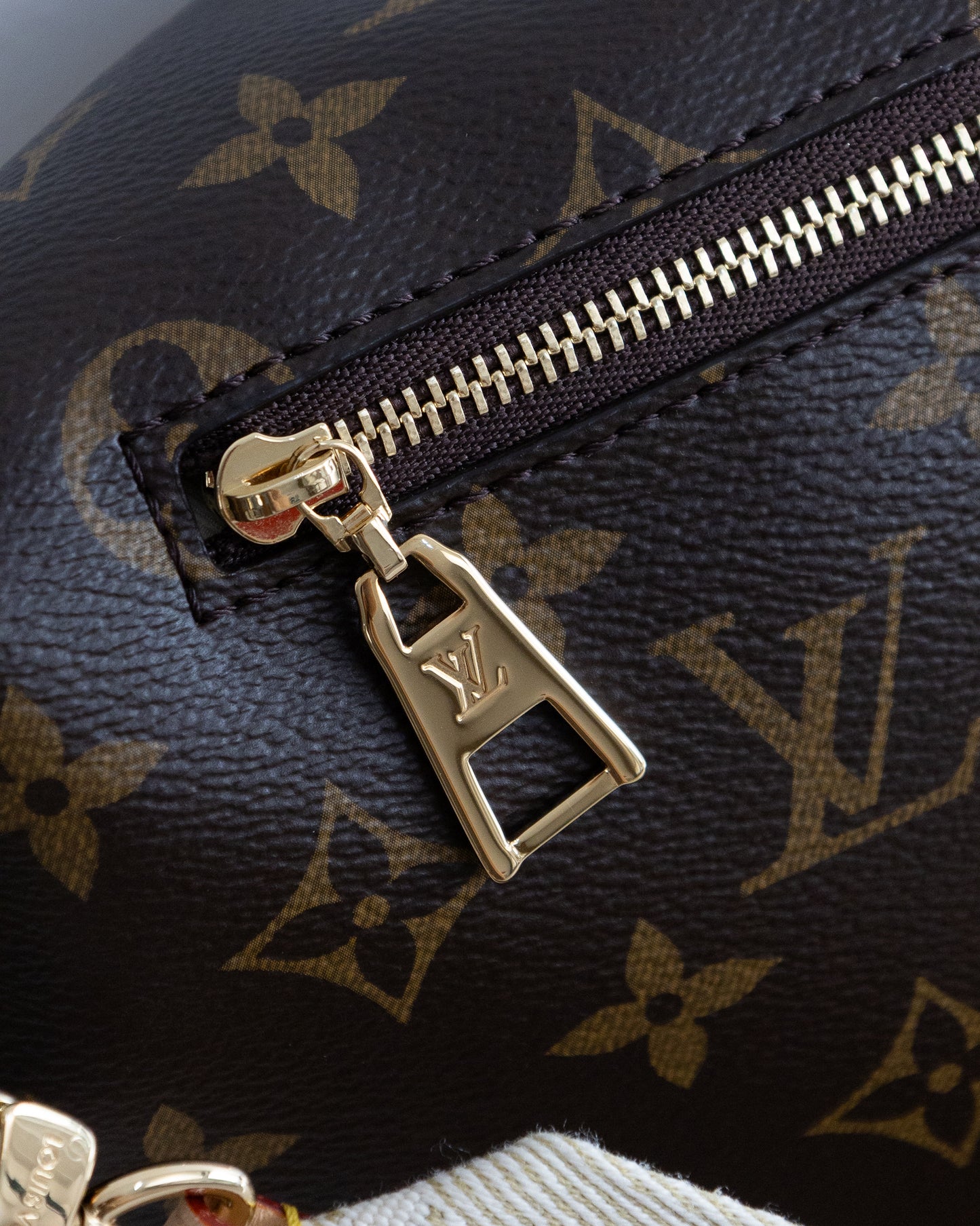 LOUIS VUITTON High Rise Bumbag