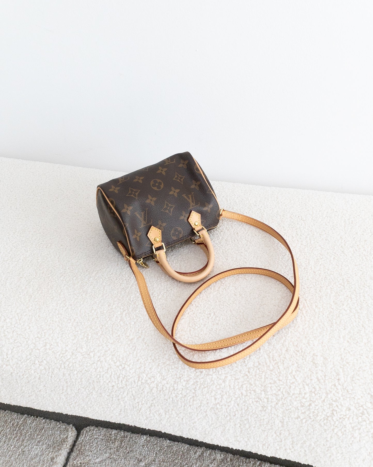 LOUIS VUITTON Speedy Nano