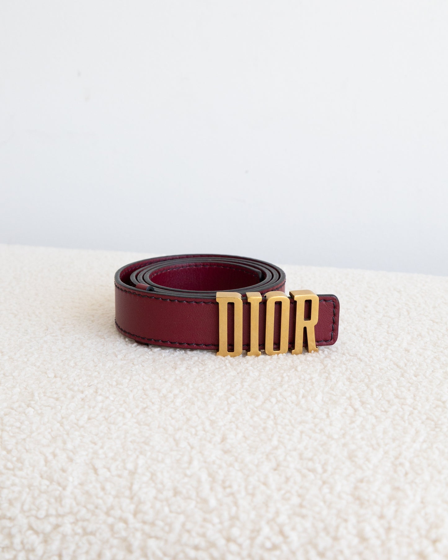 DIOR D-Fence Belt