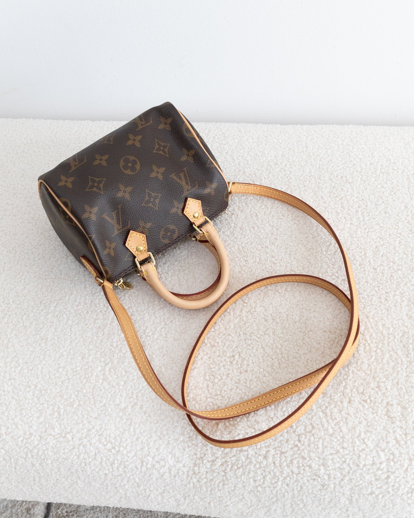 LOUIS VUITTON Speedy Nano