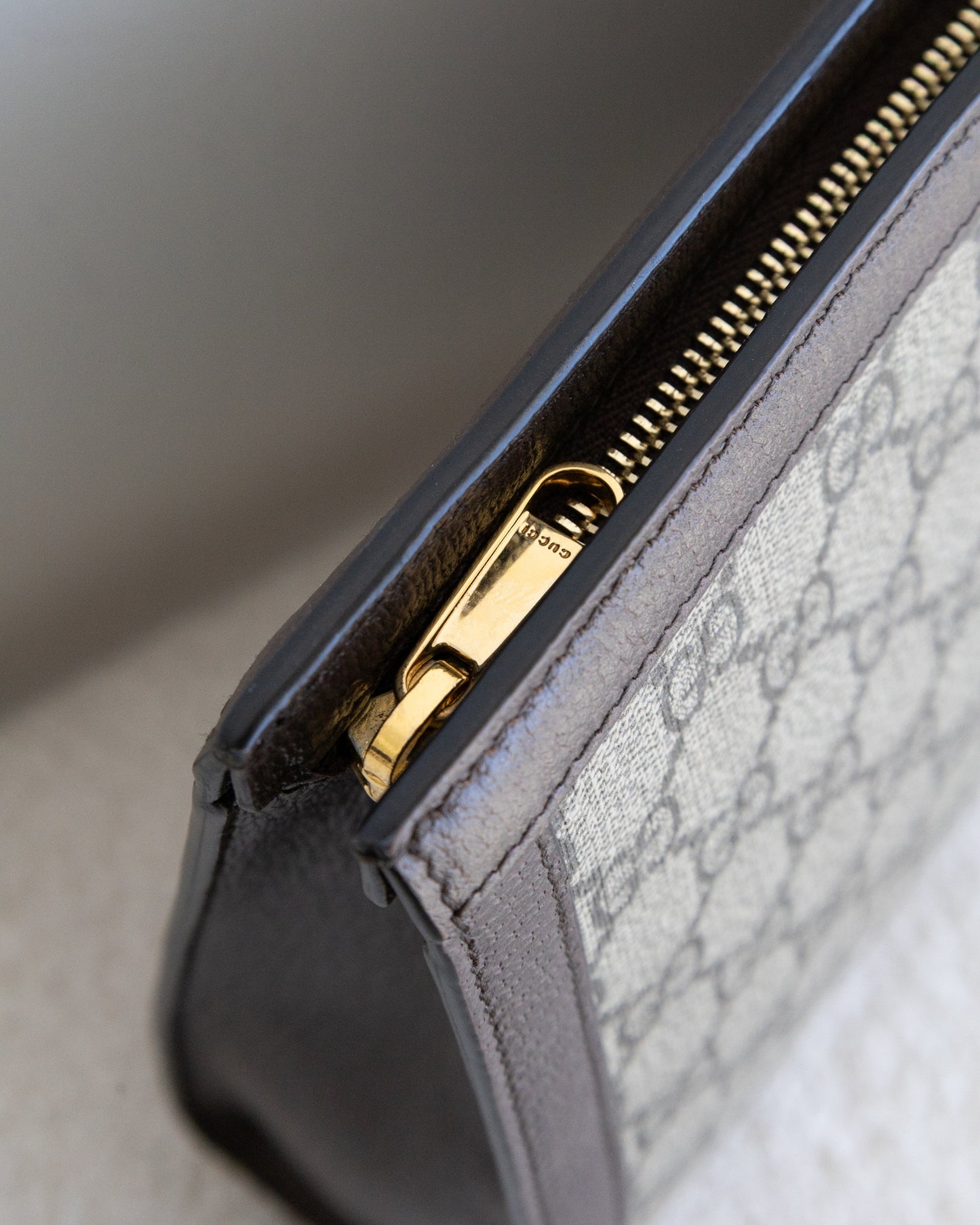 GUCCI Ophidia Pouch