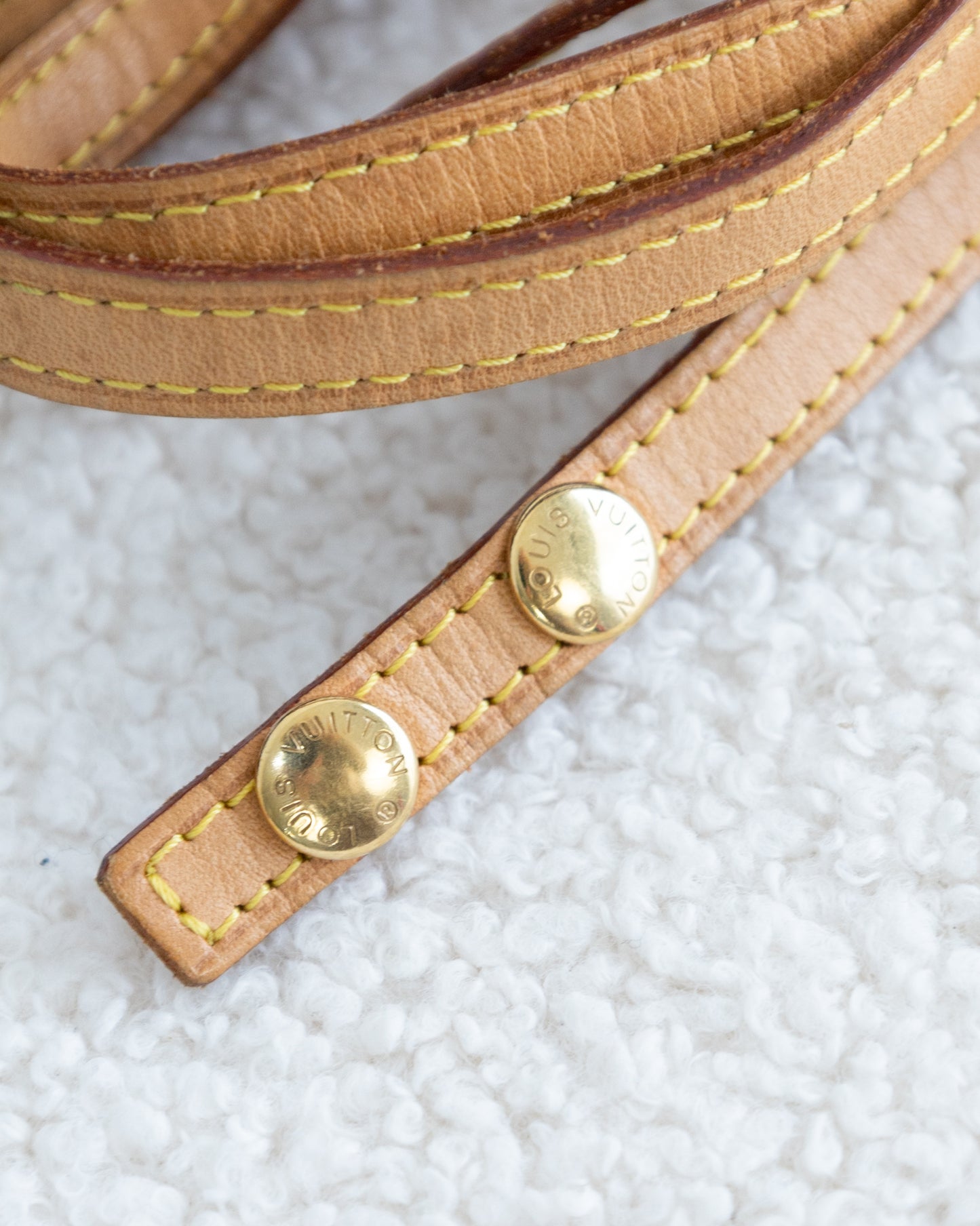 LOUIS VUITTON Twin Pochette