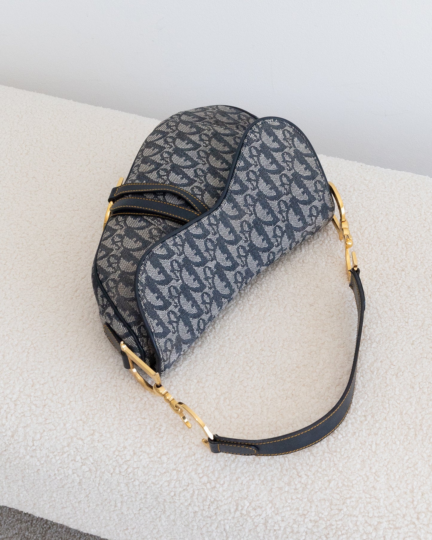 CHRISTIAN DIOR Saddle